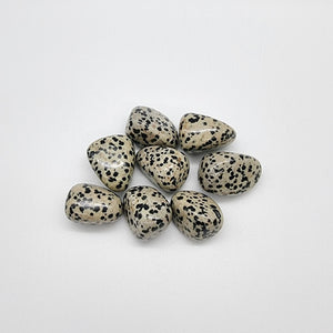 Dalmation Jasper | Tumble Stone