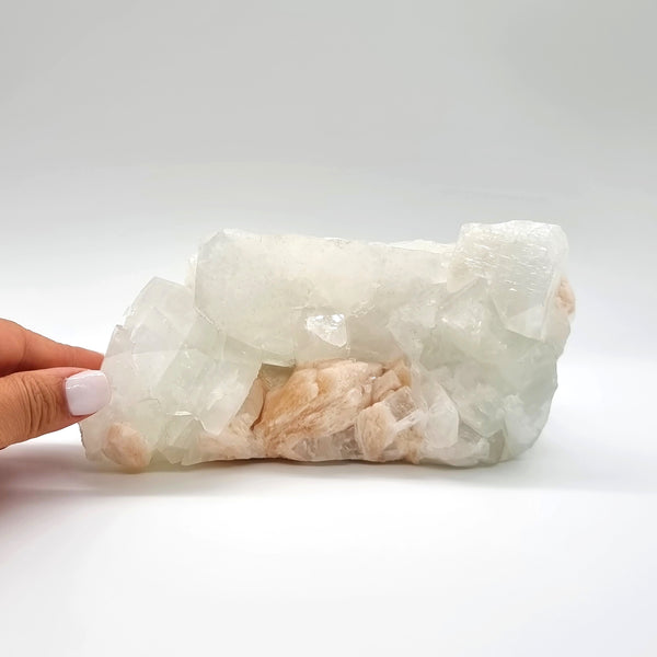 Apophyllite Cluster | Eden