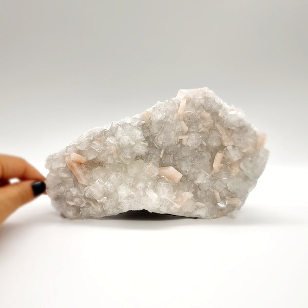 Apophyllite Cluster | Estelle