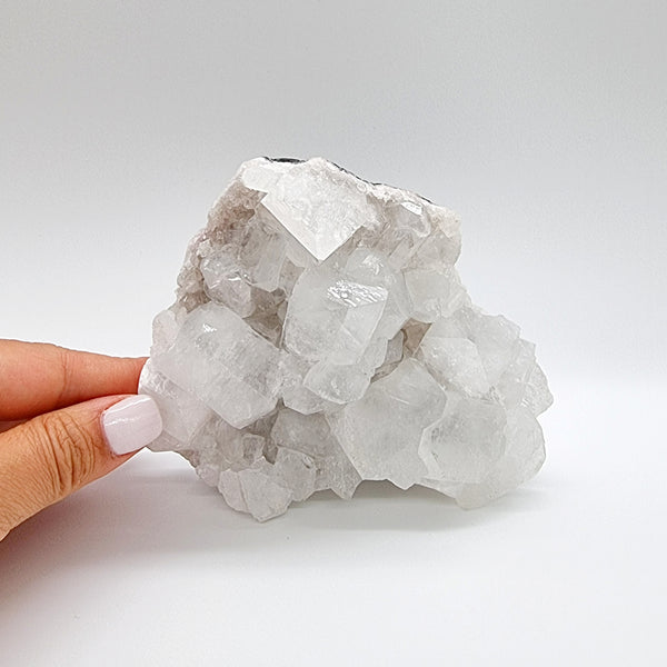 Apophyllite Cluster | Ivy