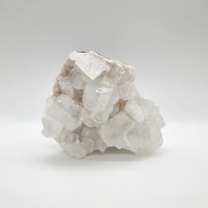 Apophyllite Cluster | Ivy