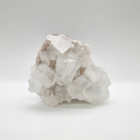 Apophyllite Cluster | Ivy