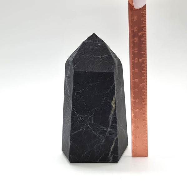 Shungite | Tower | 01