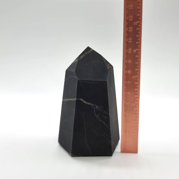 Shungite | Tower | 03